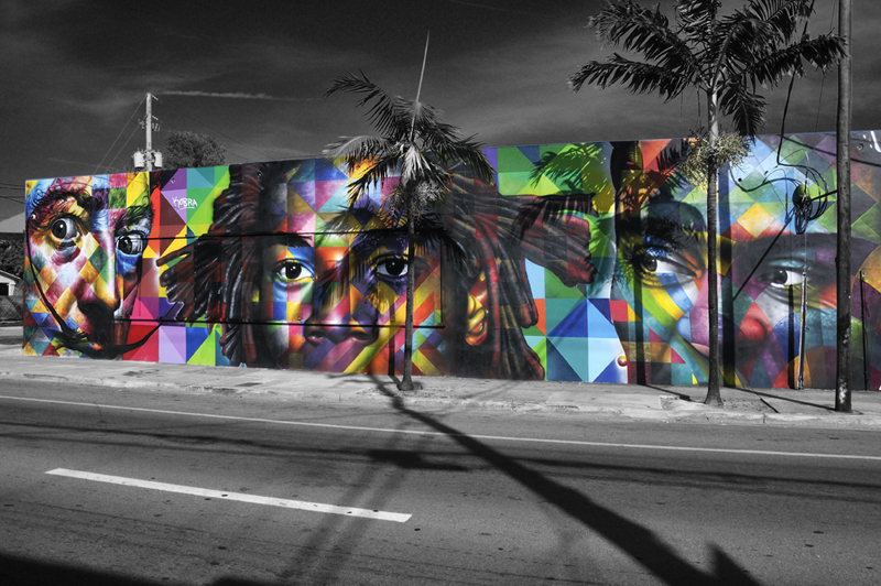 photographie winwood miami soudry photographe artiste