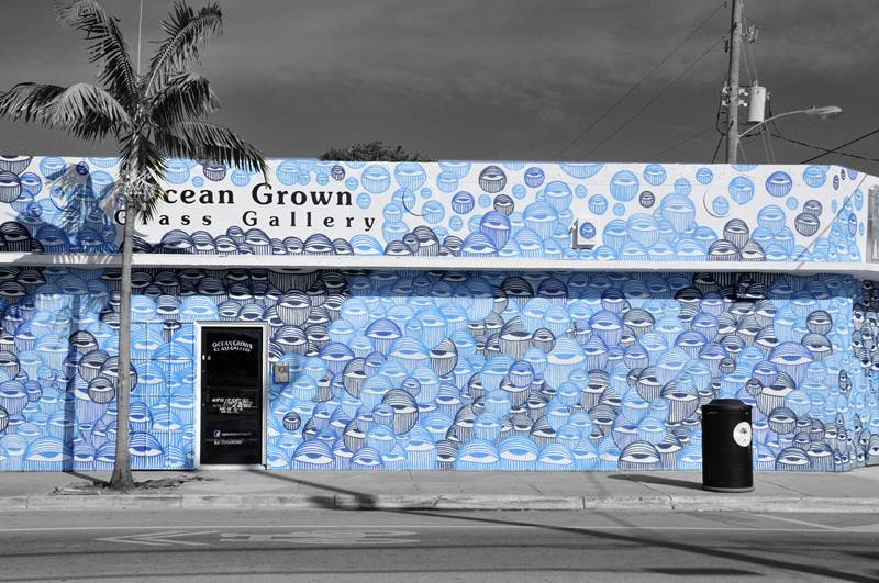 photographie winwood miami soudry photographe artiste